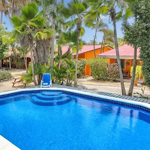 Hotel Tropical Divers, Kralendijk